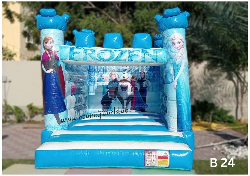 Frozen Mini Castle Image